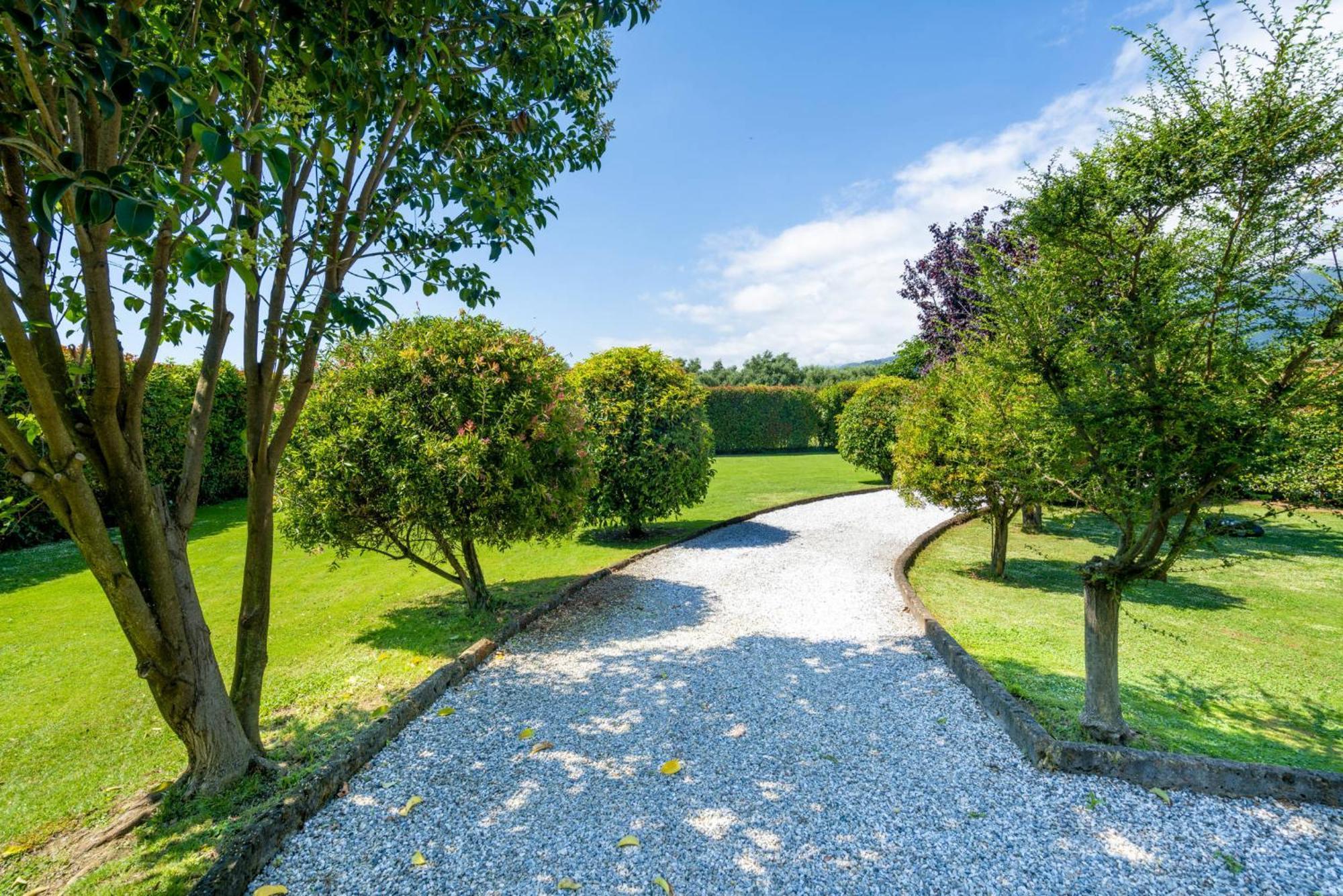 Villa Lorenzo Querceta Kültér fotó